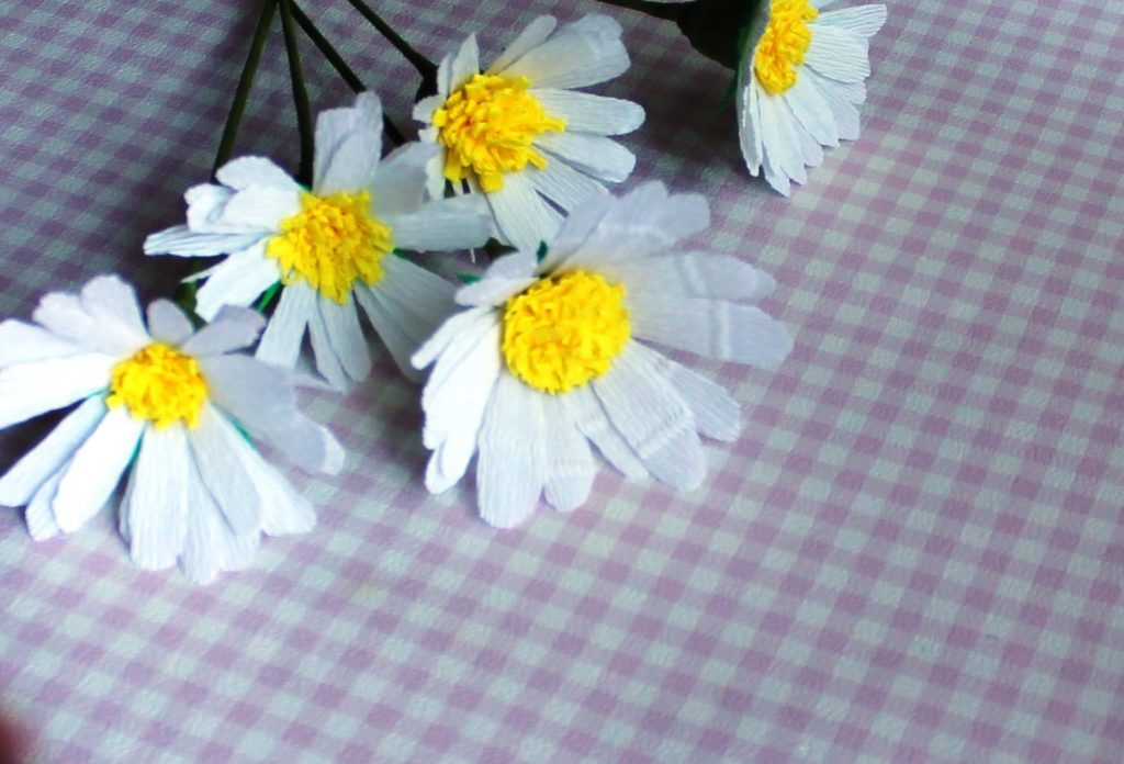 chamomile from a napkin