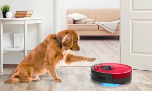 robot vacuum cleaner para sa buhok ng hayop