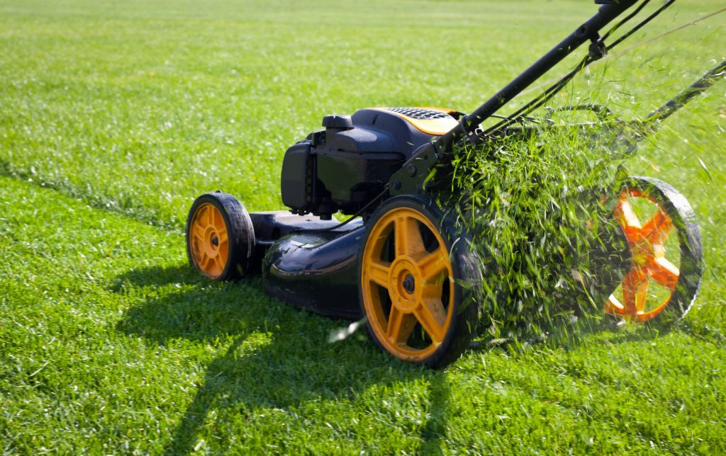 mga pag-iingat sa kaligtasan kapag nagtatrabaho sa isang lawn mower