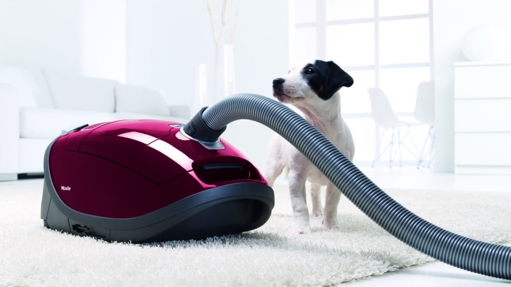 vacuum cleaner or robot vacuum cleaner