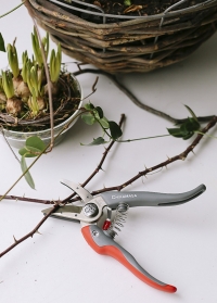 rose pruner