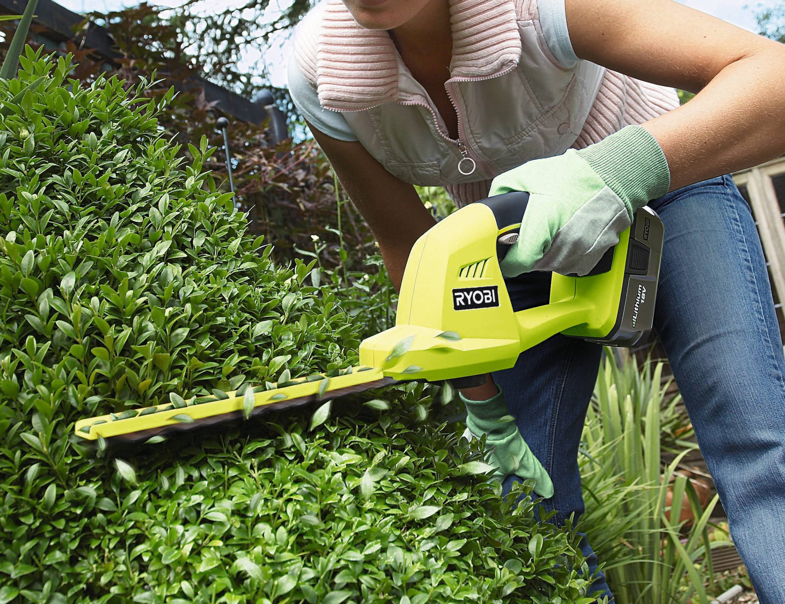 how to choose a hedge trimmer