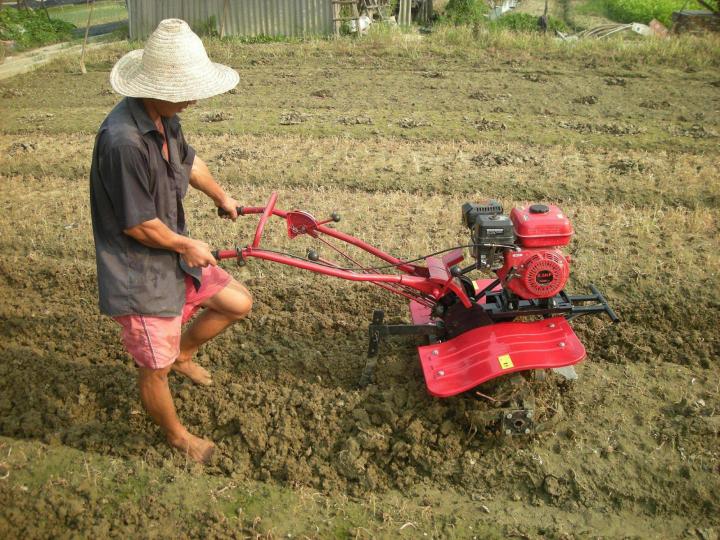 máy kéo đi bộ phía sau trong trang trại