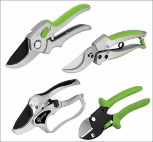 mga uri ng secateurs