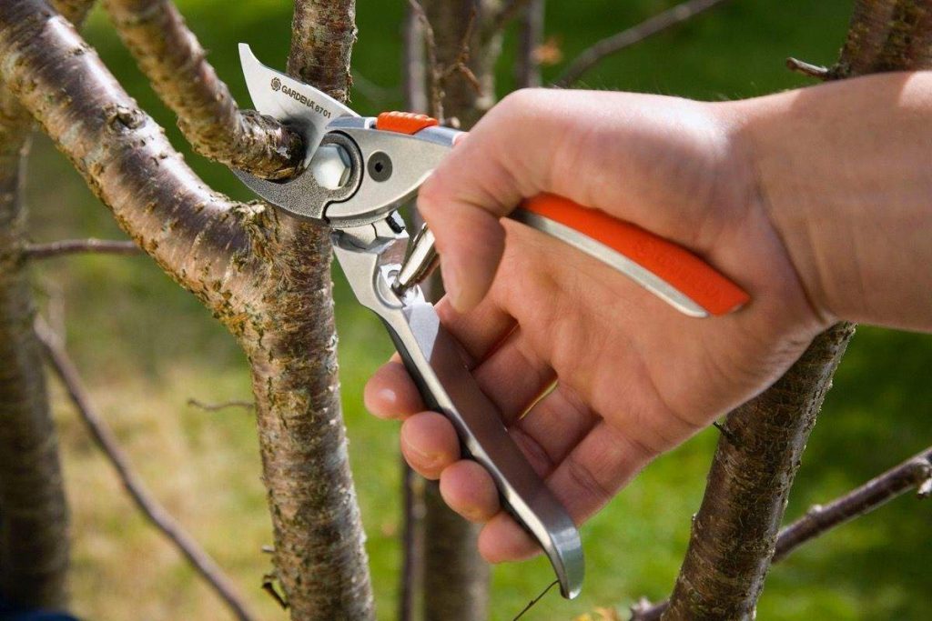 wie man eine Gartenschere hält