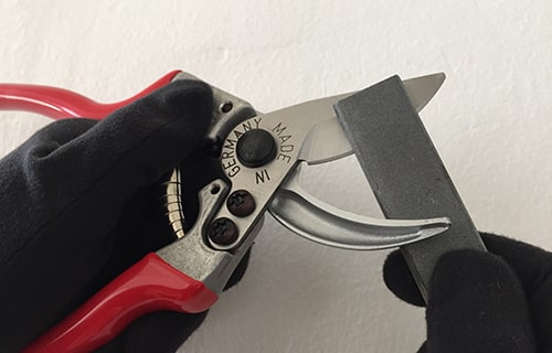 Sharpening pruners.