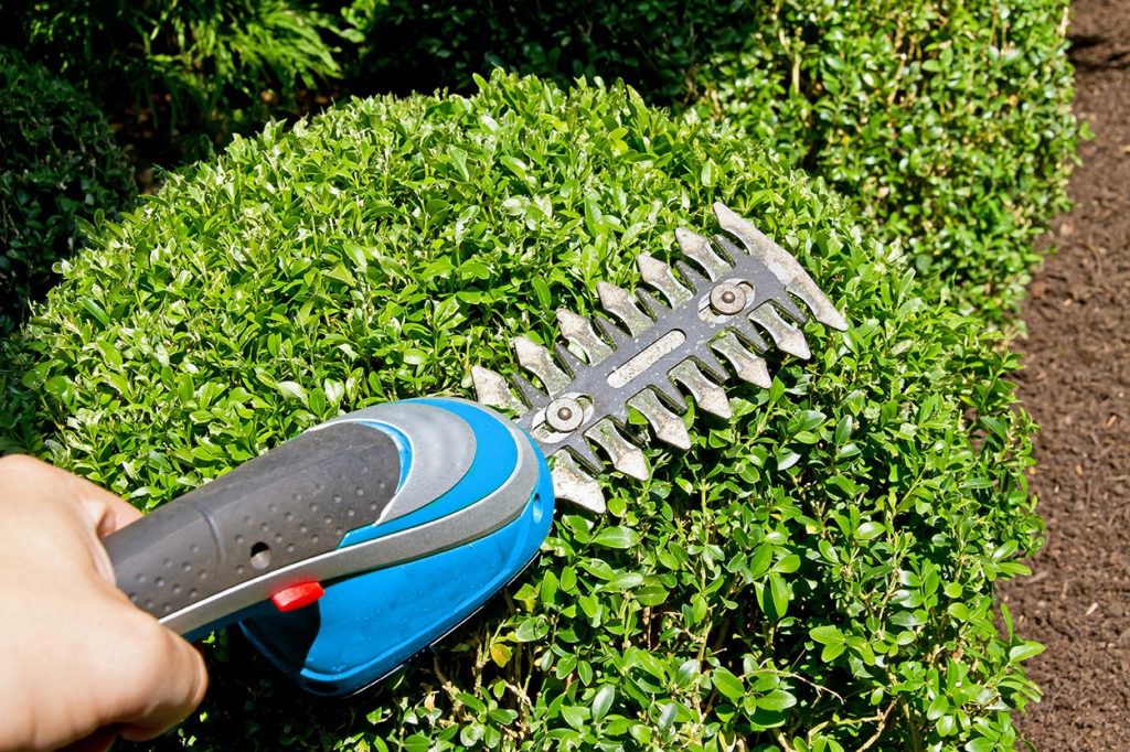 cordless hedge trimmer