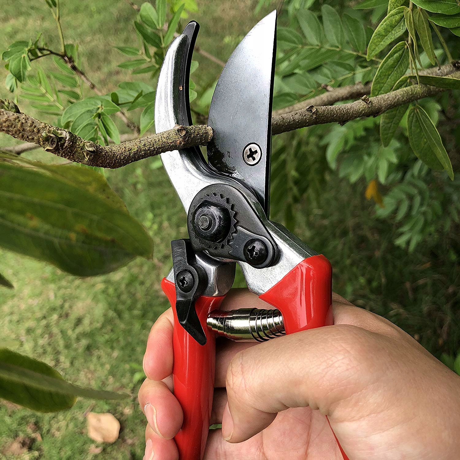 cómo sostener una podadora