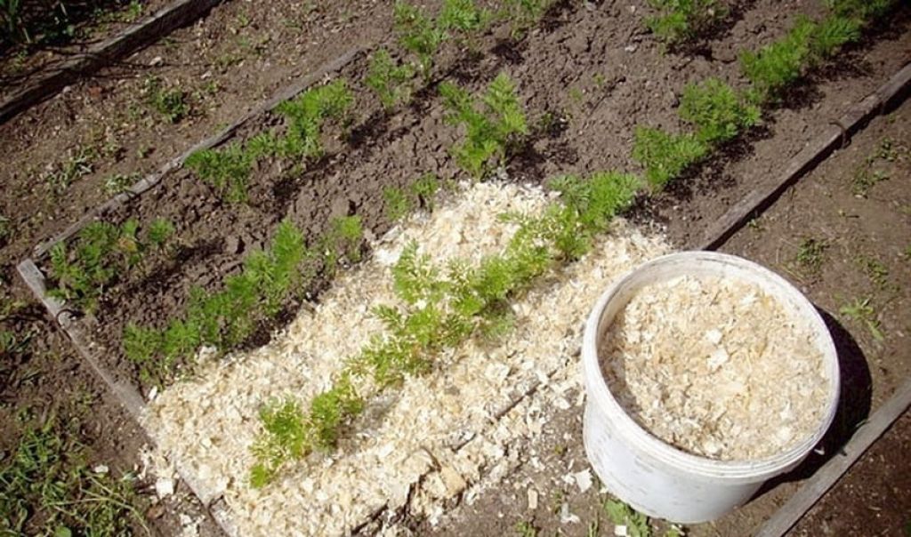 hoe houtsnippers in de tuin te gebruiken