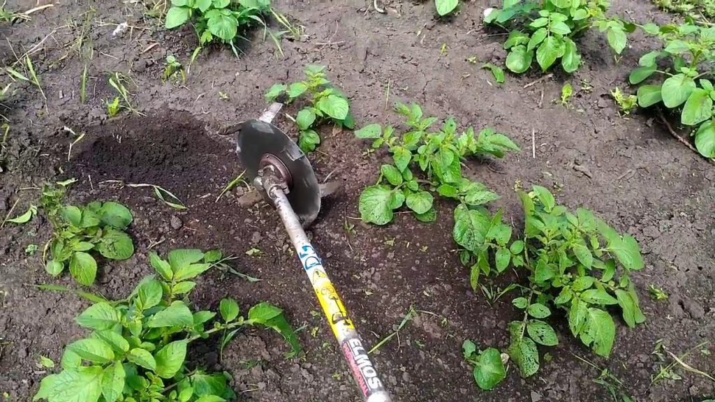 Cultivator van een trimmer.