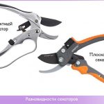 pruner หน้าสัมผัสแบบแบน