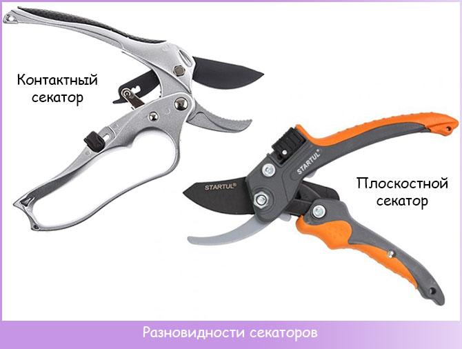 pruner หน้าสัมผัสแบบแบน