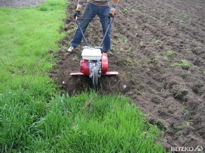 wie man mit einem handgeführten Traktor kultiviert