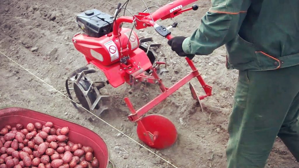 hvordan man planter kartofler med en gå-bag-traktor