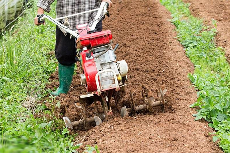 comment cultiver le sol avec un tracteur à conducteur marchant