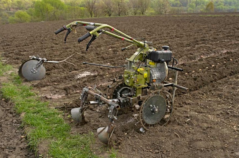 patatas dulces con tractor a pie