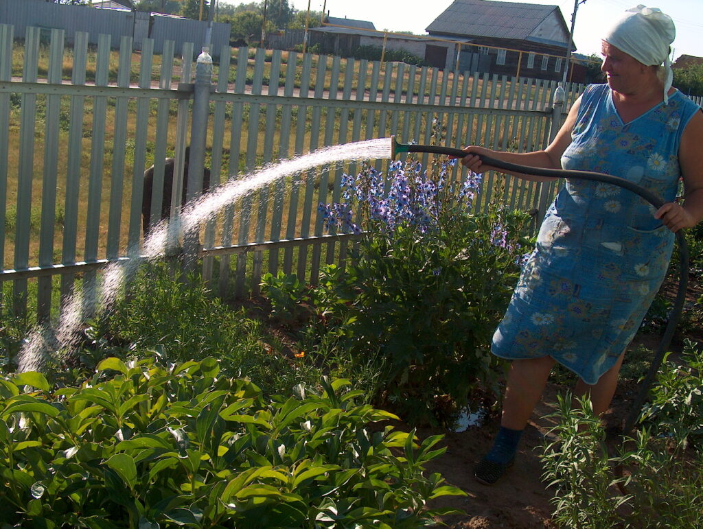 va bene per innaffiare il giardino