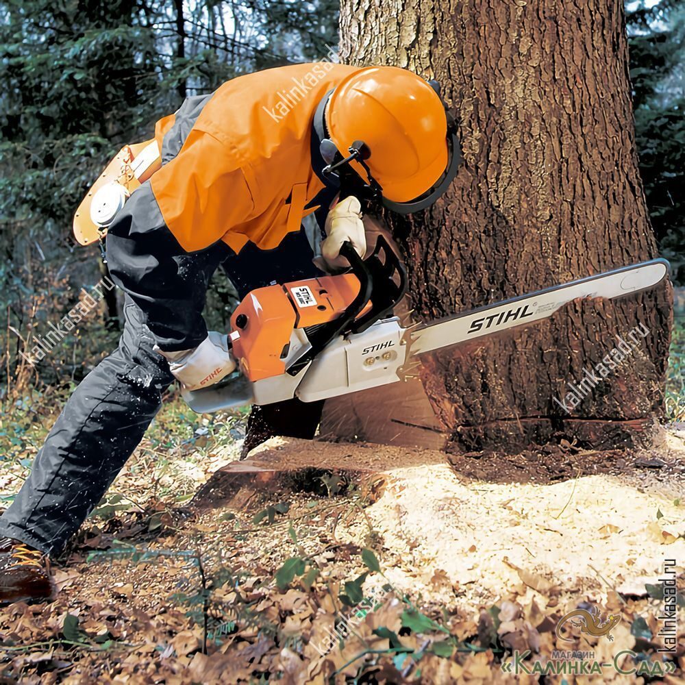 wie man einen Baum fällt