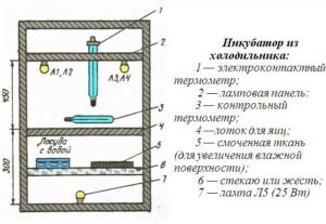 inkubatordiagram