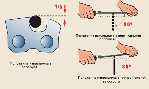 schema