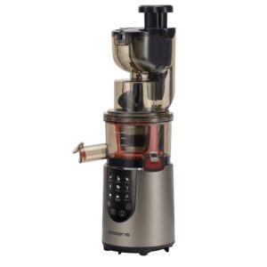 Electric juicer - photo