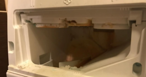 How to clean the inside of a washing machine