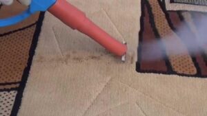 How to clean a carpet with a steam generator