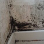 How to remove mold from walls with whitewash