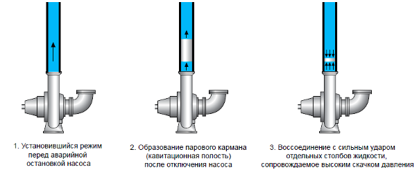 Vannhammer