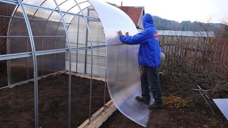 Remplacement du polycarbonate dans une serre