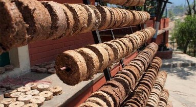 Briquettes de feuilles